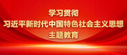 老司机，干炮。学习贯彻习近平新时代中国特色社会主义思想主题教育_fororder_ad-371X160(2)